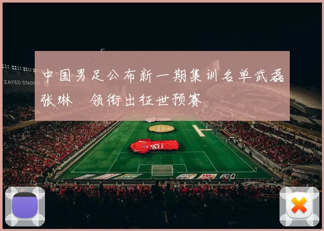 中国男足公布新一期集训名单武磊张琳芃领衔出征世预赛