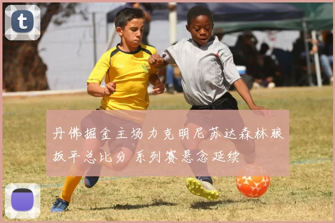 丹佛掘金主场力克明尼苏达森林狼扳平总比分 系列赛悬念延续