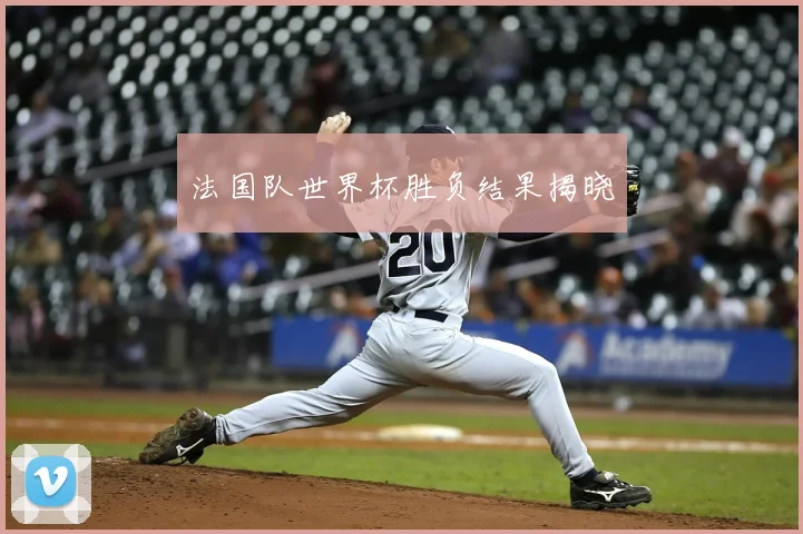 法国队世界杯胜负结果揭晓