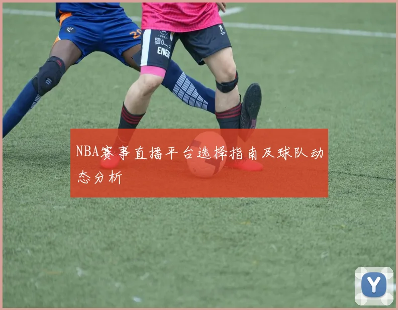 NBA赛事直播平台选择指南及球队动态分析